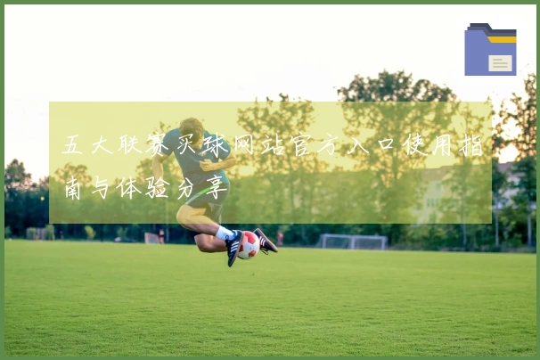 五大联赛买球网站官方入口使用指南与体验分享
