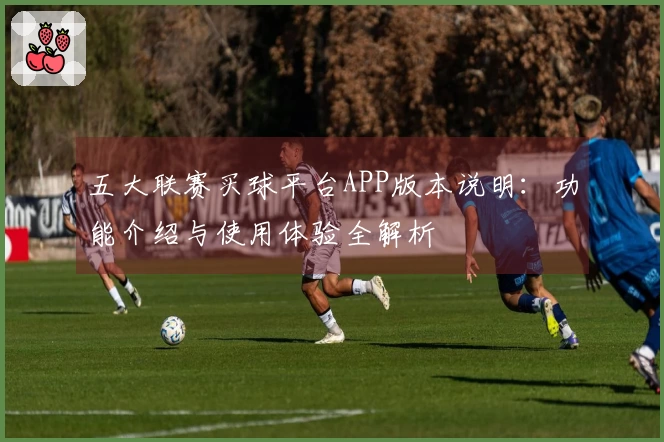 五大联赛买球平台APP版本说明：功能介绍与使用体验全解析