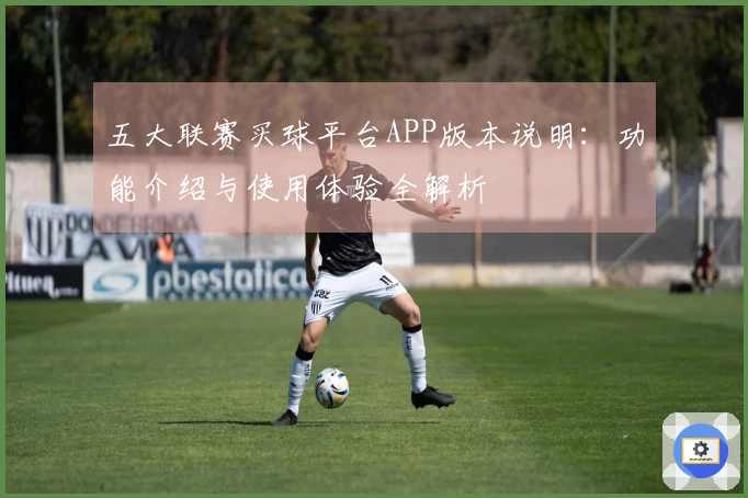 五大联赛买球平台APP版本说明：功能介绍与使用体验全解析